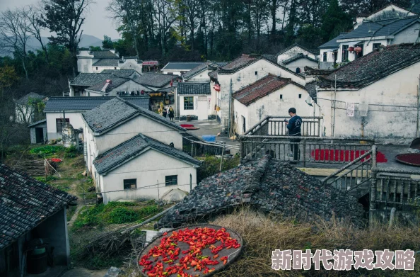 公的浮之手中字5好看吗？从剧情到角色分析，带你深入了解这部作品的魅力所在