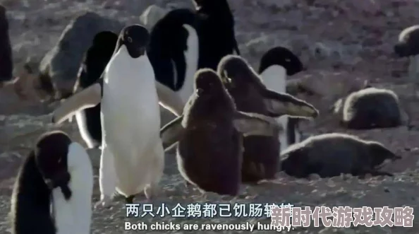 性生活1在线观看：最新动态与精彩内容更新，带你领略全新视角与体验，尽在此平台！