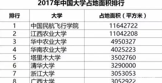 男生尻女生：校园内外性别关系的变化与挑战，如何在现代社会中建立健康的互动方式？