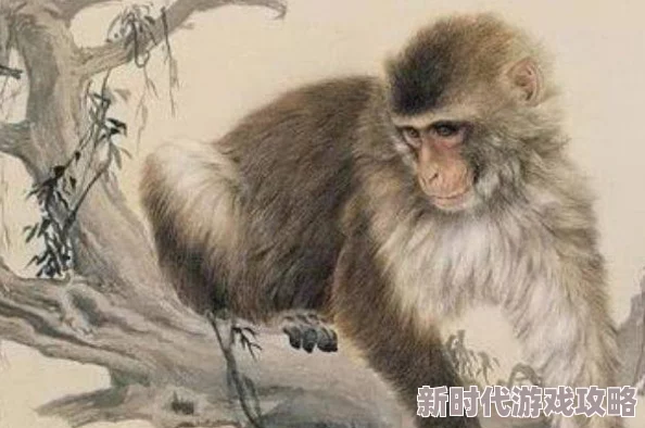 男生女生在一起努力生猴子,真是个有趣的说法,感情和事业都要并进! 男生女生在一起努力生猴子,真是个有趣的说法,感情和事业都要并进!