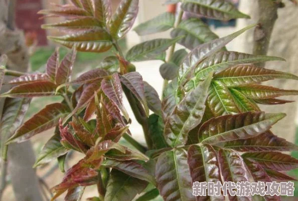 边吃胸边摸下少女娇喘连连双手紧紧抓住床单