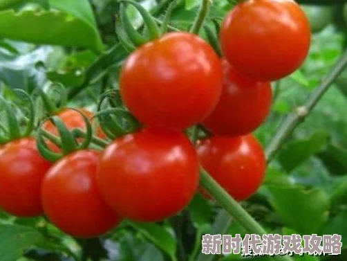 边吃胸边摸下少女娇喘连连双手紧紧抓住床单